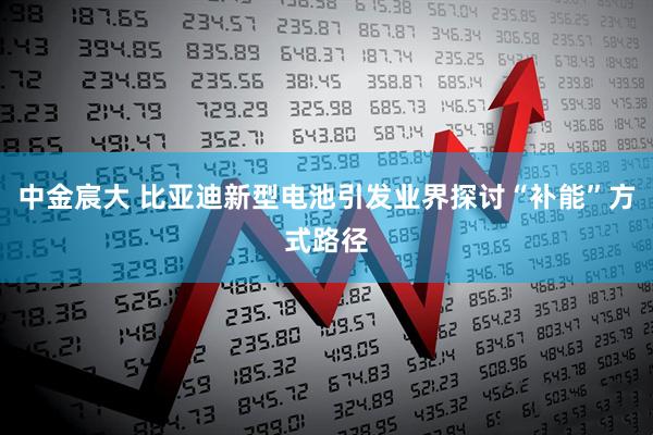 中金宸大 比亚迪新型电池引发业界探讨“补能”方式路径