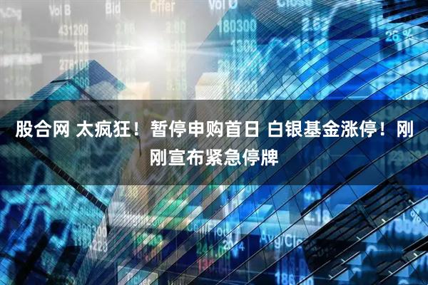 股合网 太疯狂！暂停申购首日 白银基金涨停！刚刚宣布紧急停牌