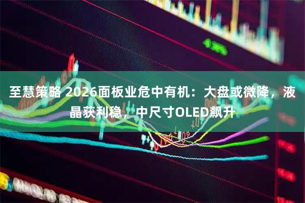 至慧策略 2026面板业危中有机：大盘或微降，液晶获利稳，中尺寸OLED飙升