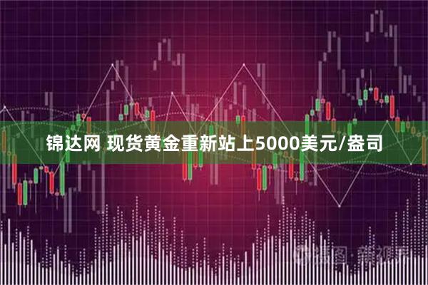 锦达网 现货黄金重新站上5000美元/盎司