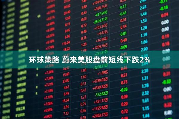 环球策路 蔚来美股盘前短线下跌2%
