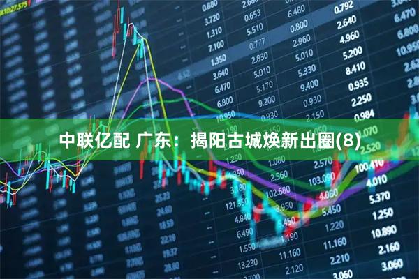 中联亿配 广东：揭阳古城焕新出圈(8)