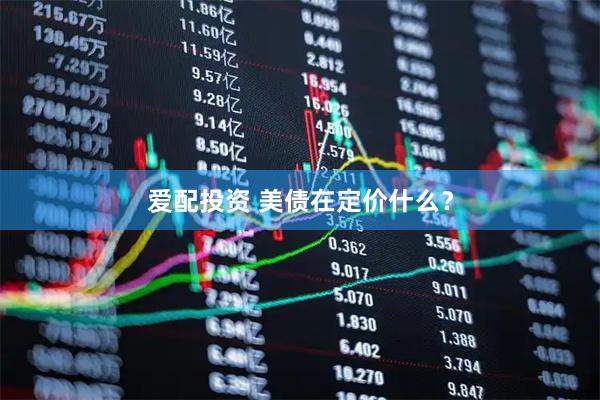 爱配投资 美债在定价什么？
