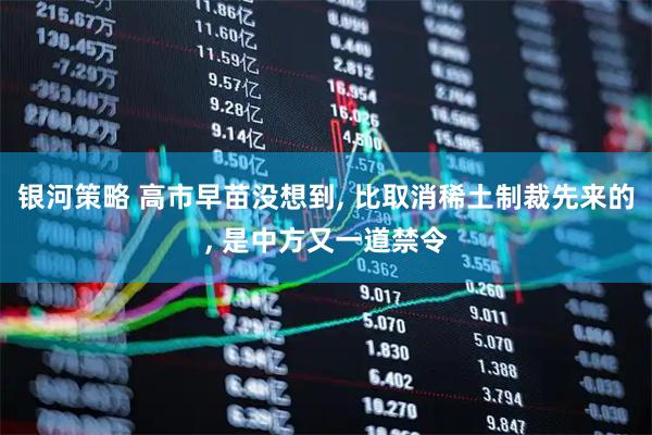 银河策略 高市早苗没想到, 比取消稀土制裁先来的, 是中方又一道禁令